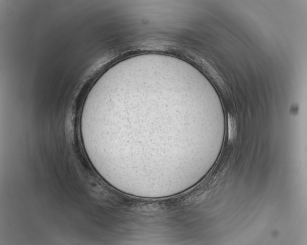 X0000116890675201001191806