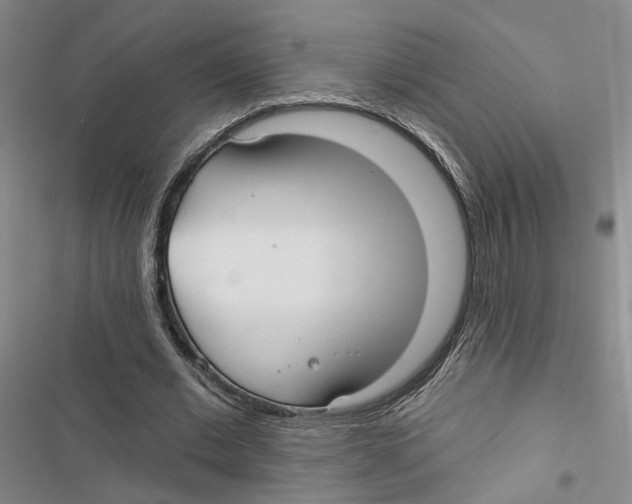 X0000116890677201001191806