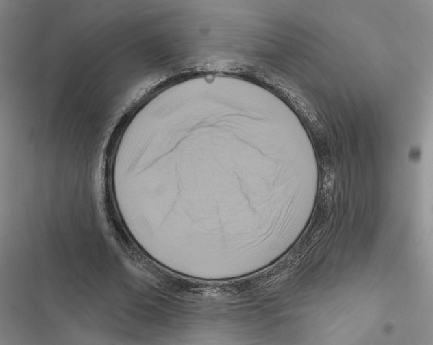 X0000116890678201001191806