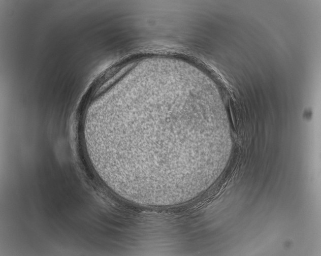 X0000116890679201001191806