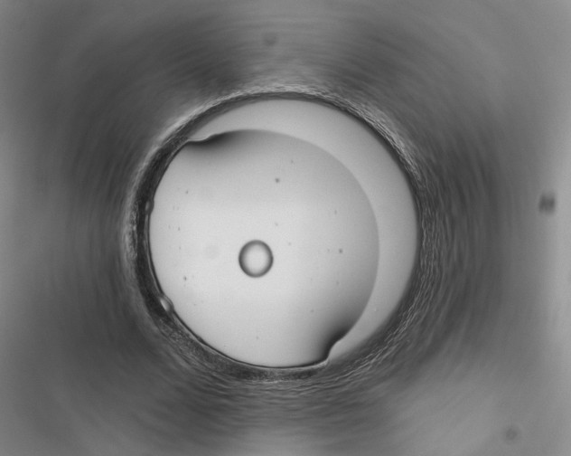 X0000116890680201001191806