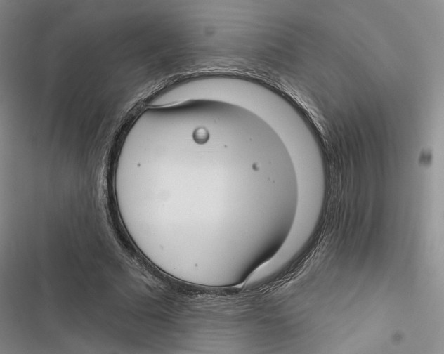 X0000116890681201001191806