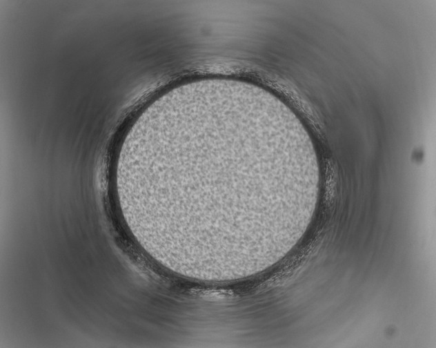 X0000116890683201001191806