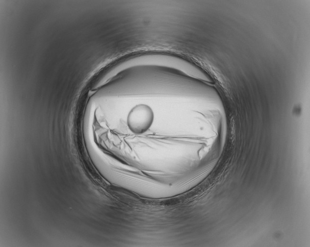 X0000116890684201001191806