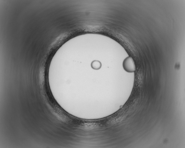 X0000116890686201001191806