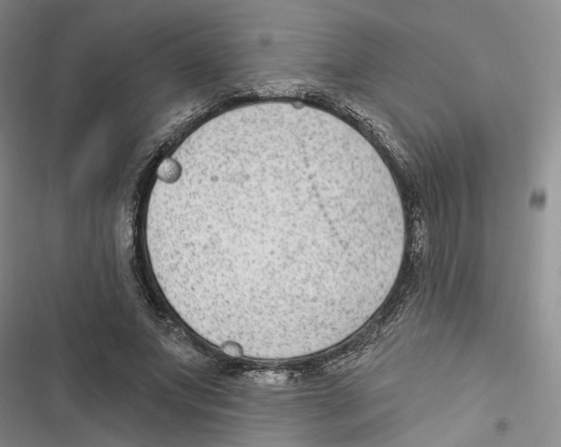 X0000116890687201001191806