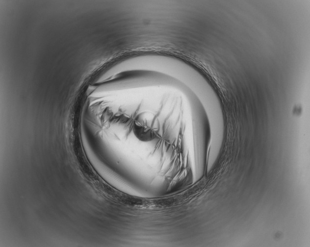 X0000116890688201001191806