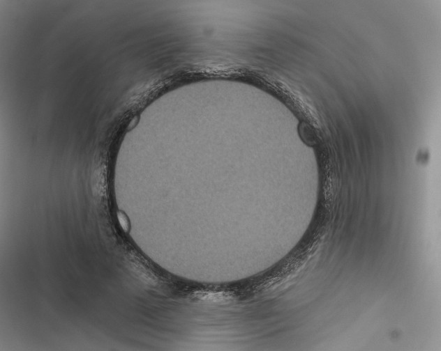 X0000116890689201001191806