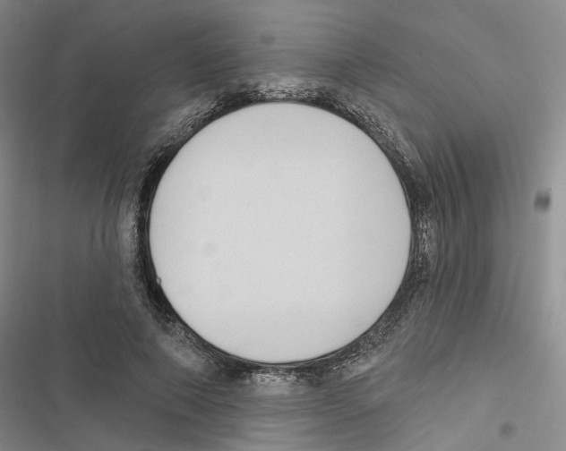 X0000116890690201001191806