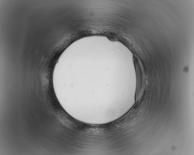 X0000116890691201001191806