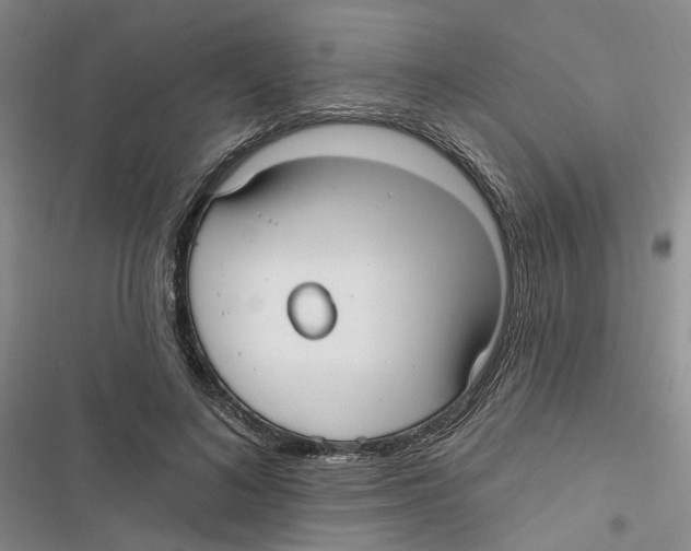 X0000116890692201001191806