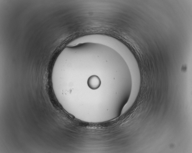 X0000116890693201001191806