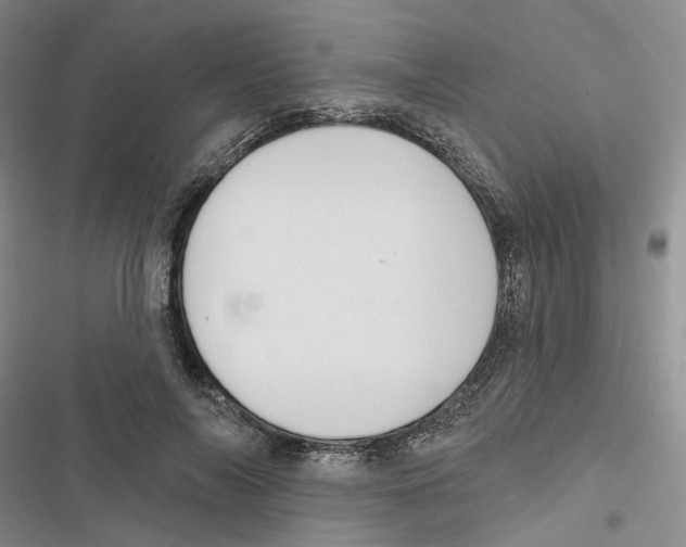 X0000116890694201001191806