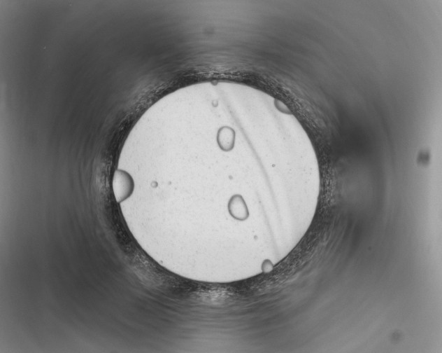 X0000116890695201001191806