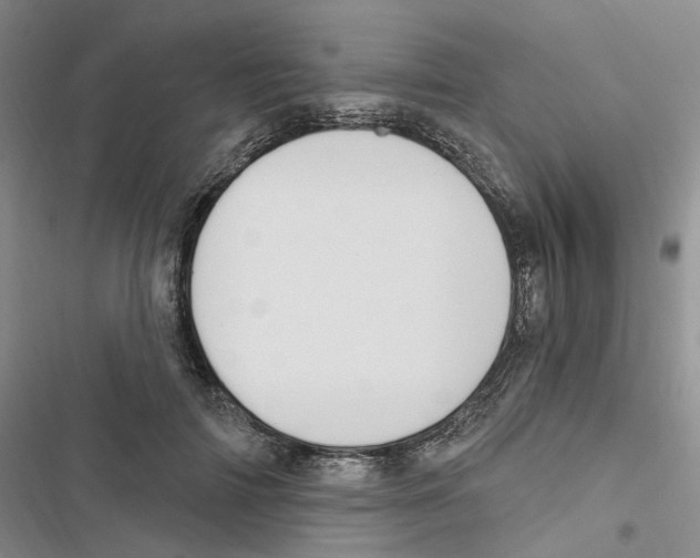 X0000116890698201001191806