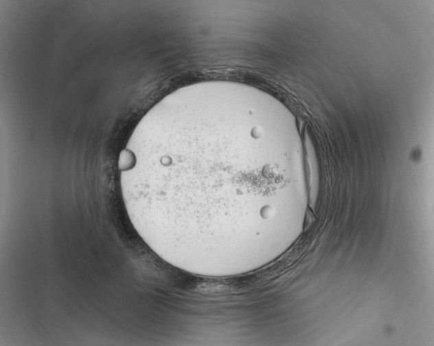 X0000116890699201001191805