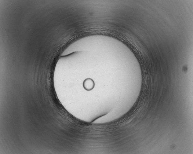 X0000116890700201001191805