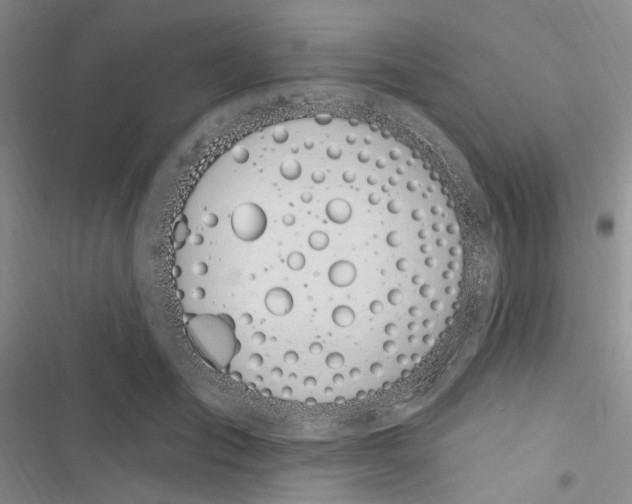 X0000116890701201001191805