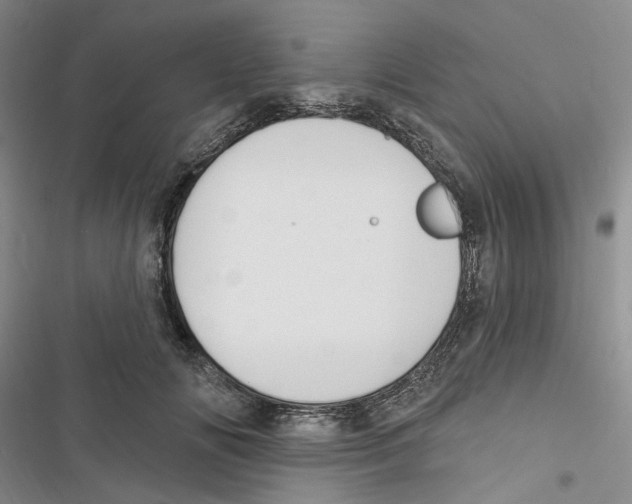 X0000116890702201001191805