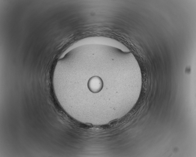 X0000116890704201001191805