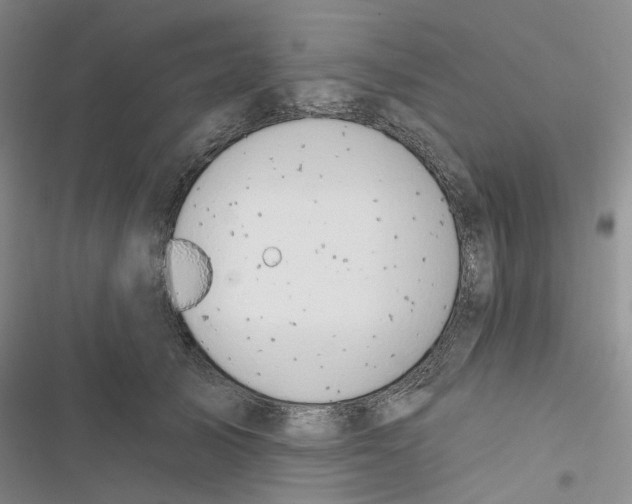 X0000116890705201001191805