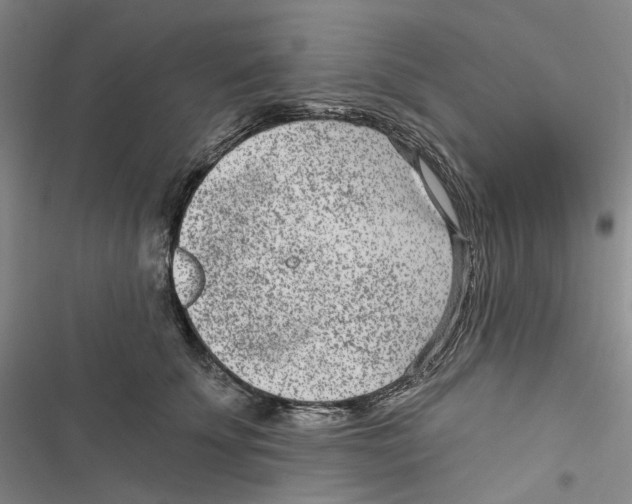 X0000116890707201001191805