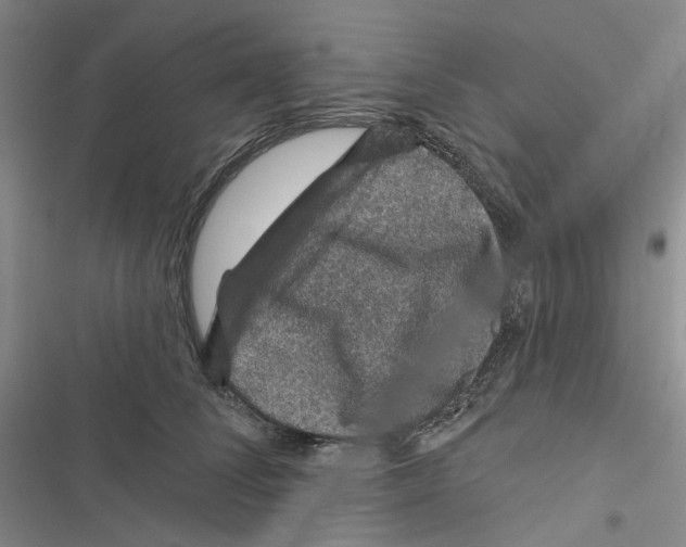 X0000116890708201001191805