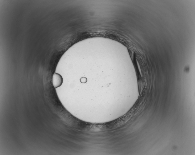 X0000116890711201001191805