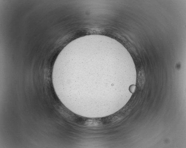 X0000116890714201001191805