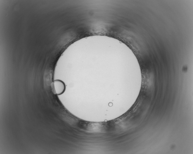 X0000116890717201001191805