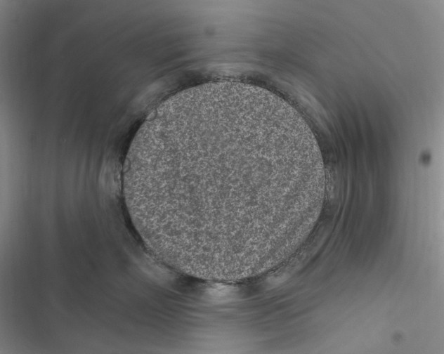 X0000116890718201001191805