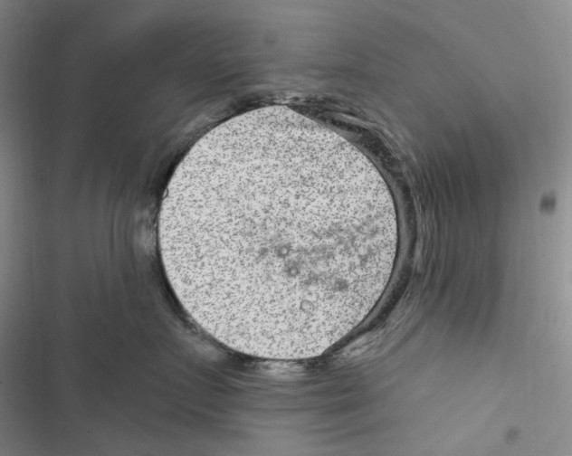 X0000116890719201001191805