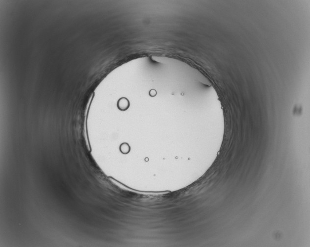 X0000116890720201001191805