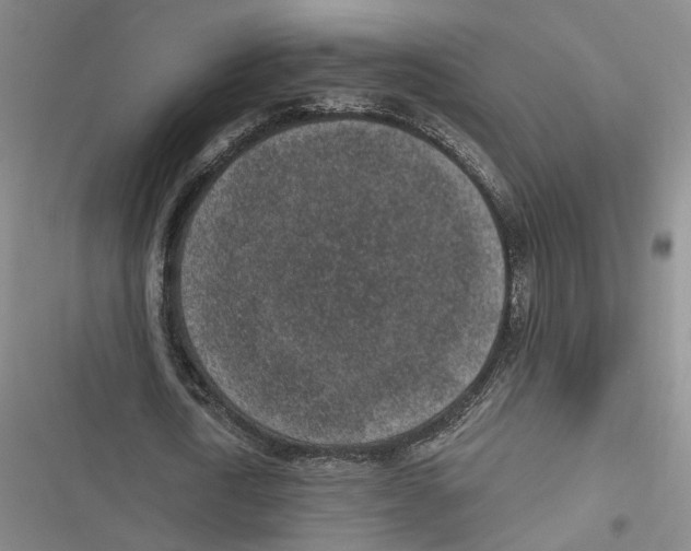 X0000116890722201001191805