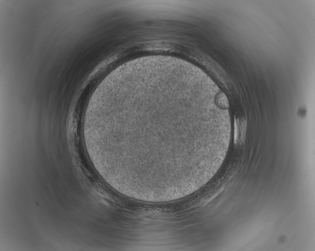 X0000116890723201001191805