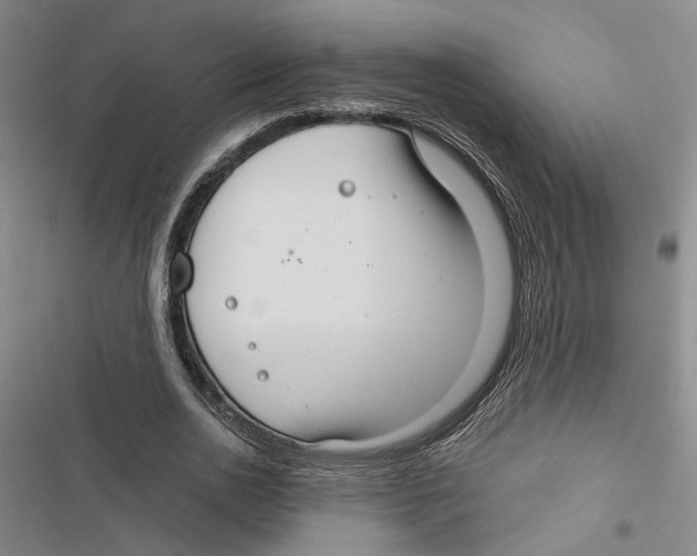 X0000116890726201001191805