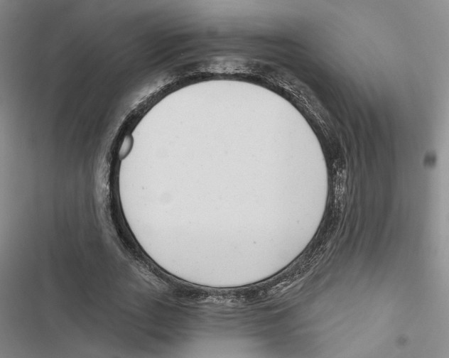 X0000116890727201001191805