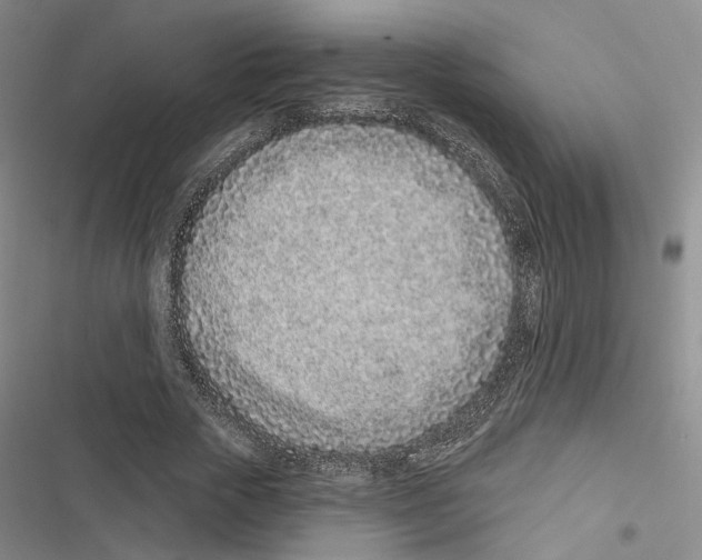 X0000116890729201001191805