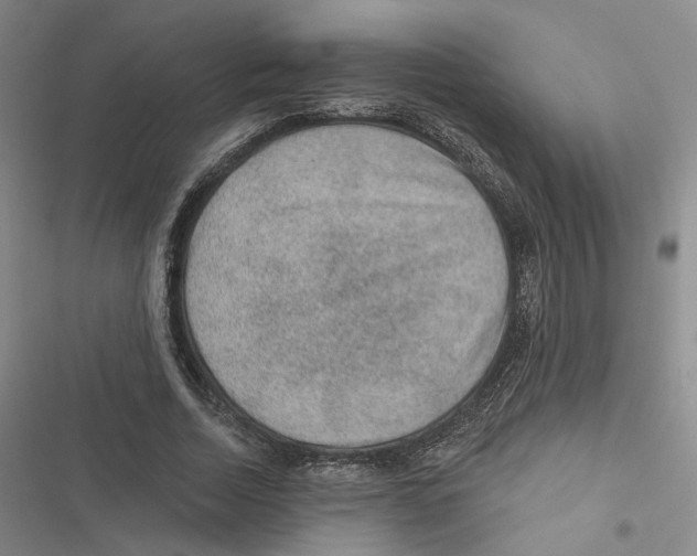 X0000116890730201001191805