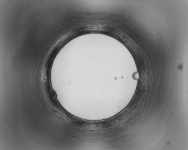 X0000116890731201001191805