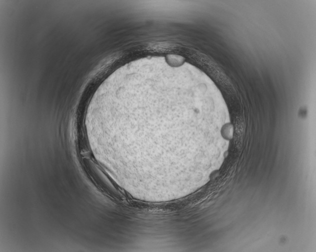 X0000116890734201001191805