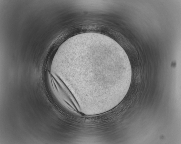 X0000116890735201001191805