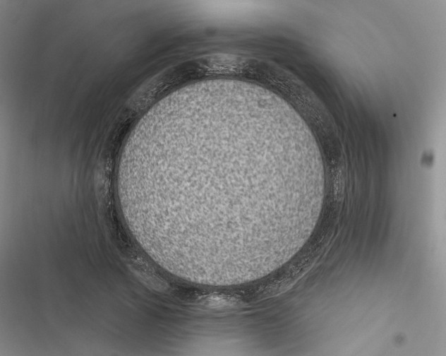 X0000116890737201001191805