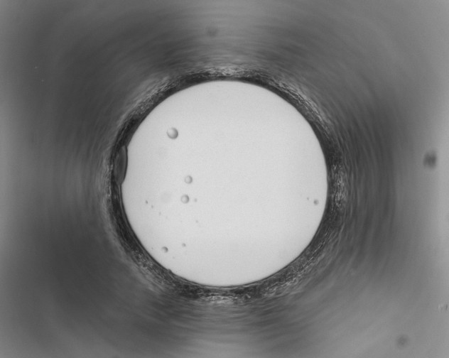 X0000116890738201001191805