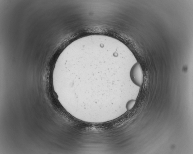 X0000116890739201001191805