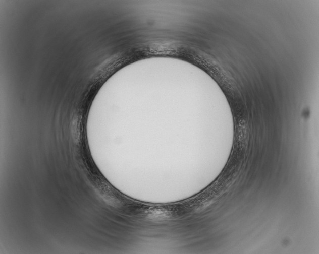 X0000116890741201001191805