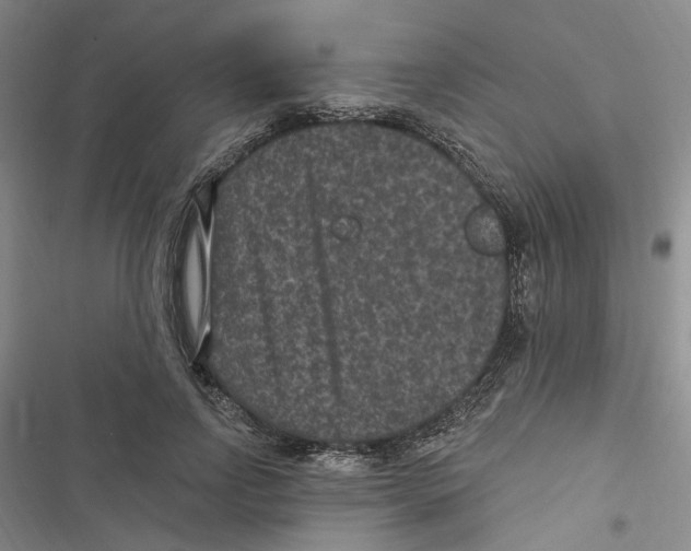 X0000116890742201001191805