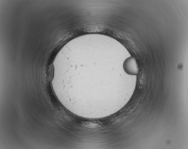 X0000116890743201001191805