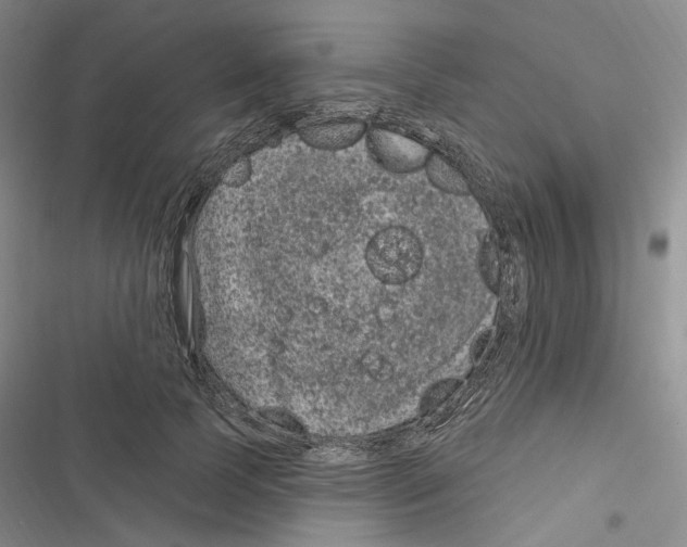 X0000116890745201001191805