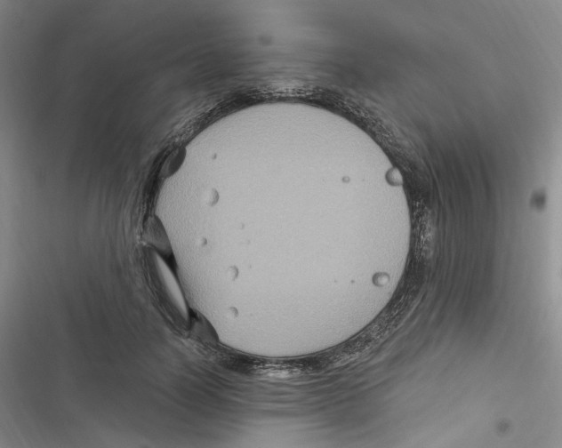 X0000116890746201001191805